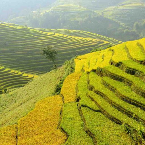 Tour Ghép Hà Giang 3 Đêm 2 Ngày