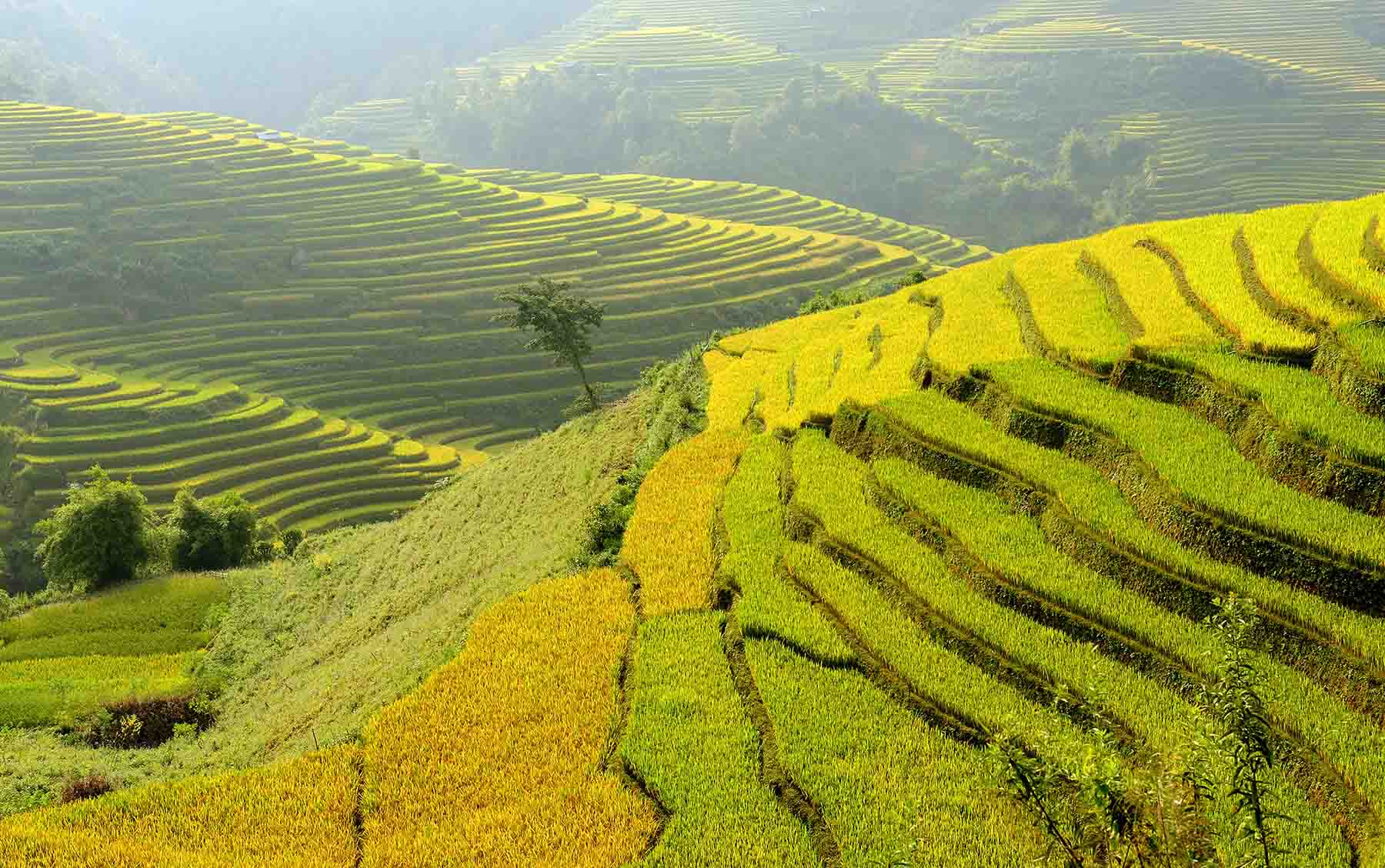 Tour Ghép Hà Giang 3 Đêm 2 Ngày