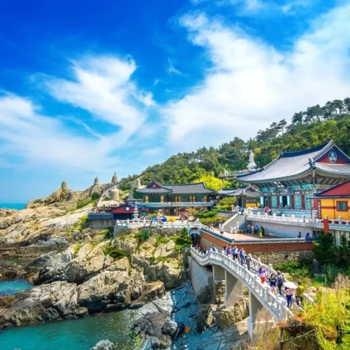 Tour Du Lịch Hàn Quốc 2025: Busan - Seoul - Cố Đô Gyeongju