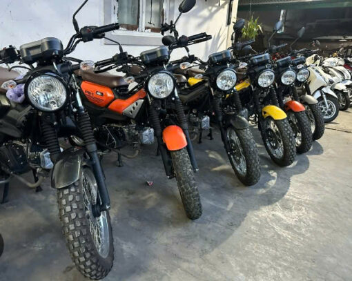 Thuê cào cào 150cc