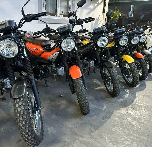 Thuê cào cào 150cc