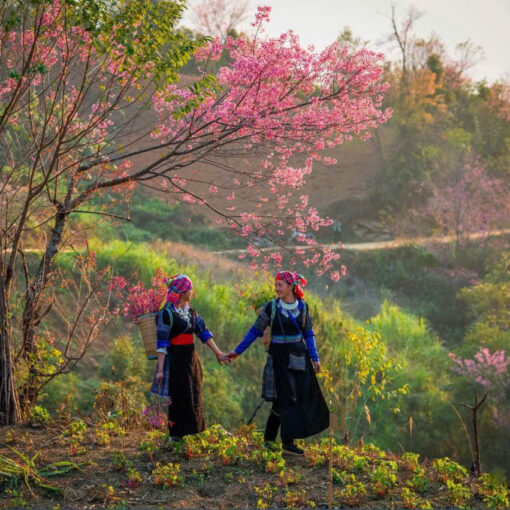 Tour Ghép Hà Giang 2 đêm 1 Ngày