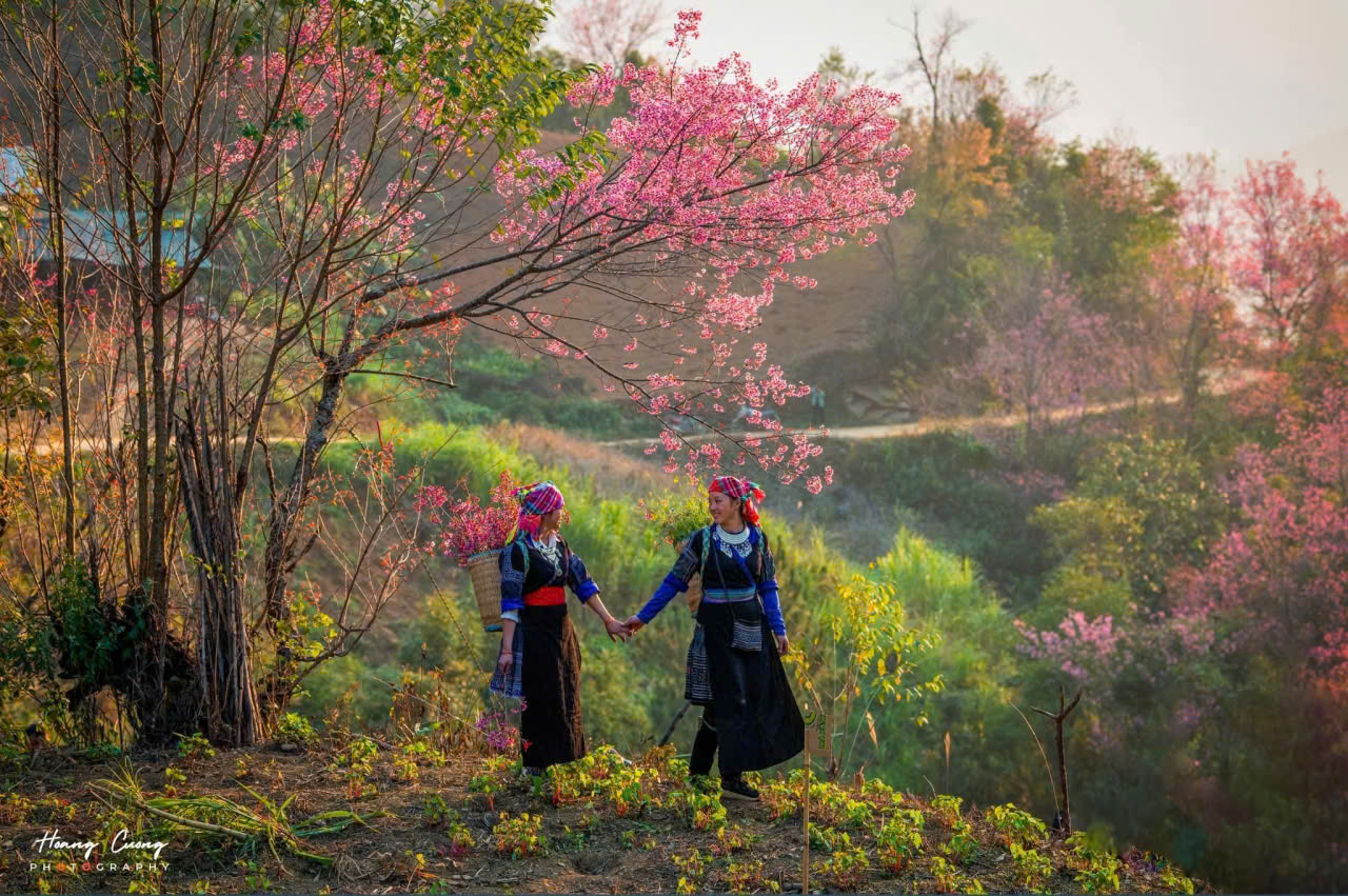 Tour Ghép Hà Giang 2 đêm 1 Ngày